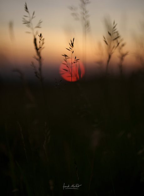 photo home apca 06